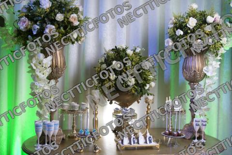 Foto 46 de Boda Gustavo & Liz Barrios