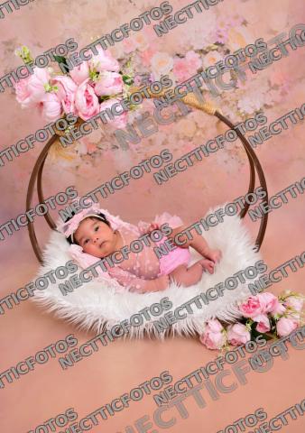 Foto 6 de Mi Primer Mes Jade Gianna